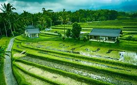 Kubu D'Ume Homestay