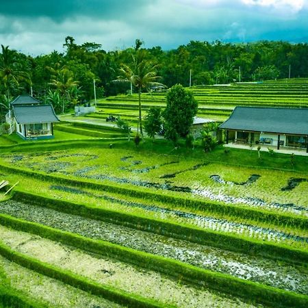 Kubu D'Ume Homestay Jatiluwih Buitenkant foto