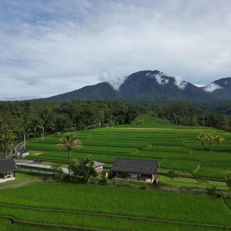 Kubu D'Ume Homestay Jatiluwih Buitenkant foto