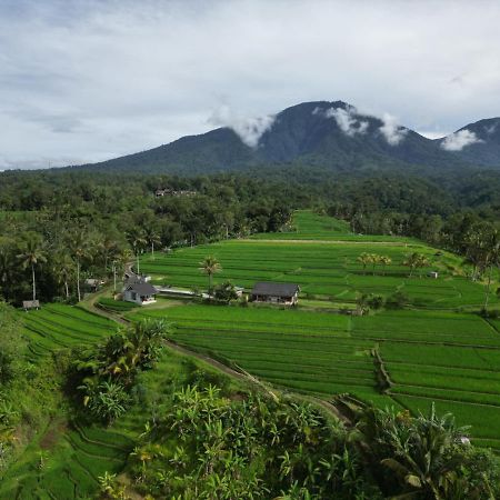 Kubu D'Ume Homestay Jatiluwih Buitenkant foto
