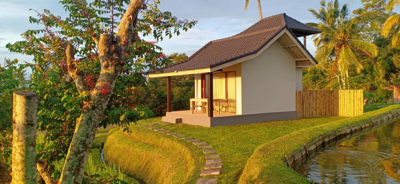 Kubu D'Ume Homestay Jatiluwih Buitenkant foto