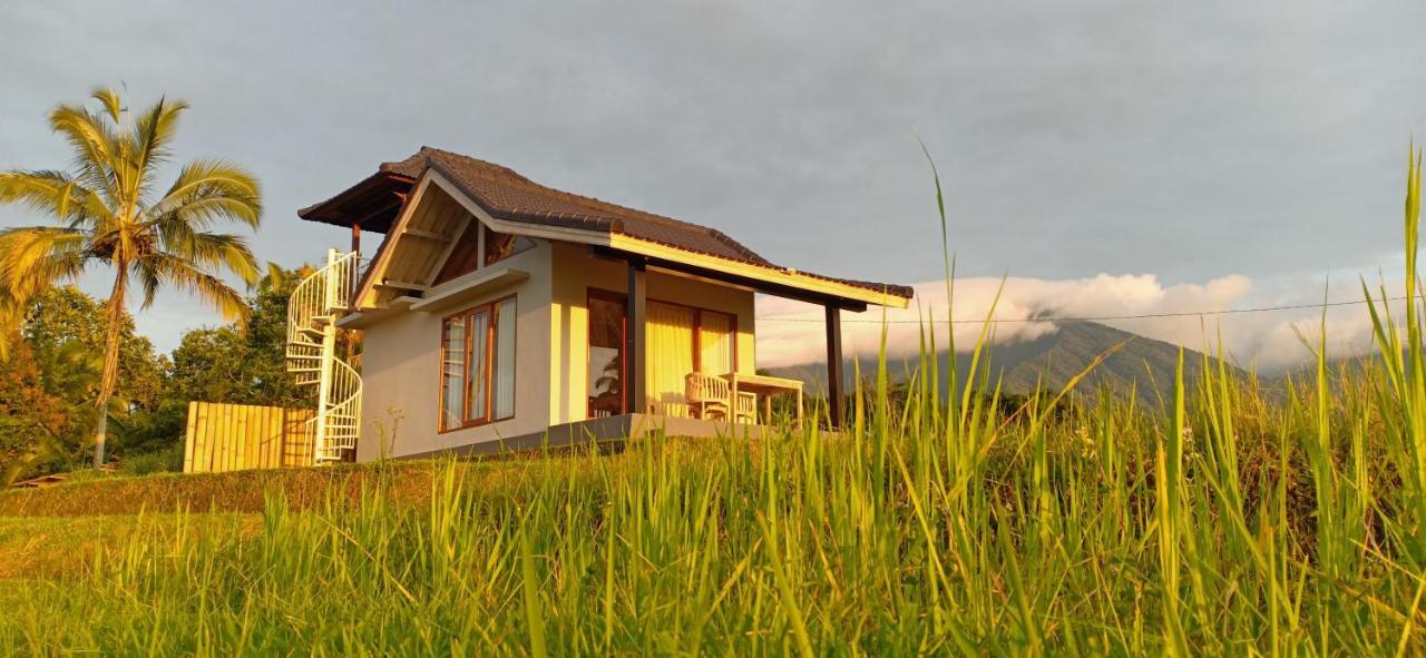 Kubu D'Ume Homestay Jatiluwih Buitenkant foto