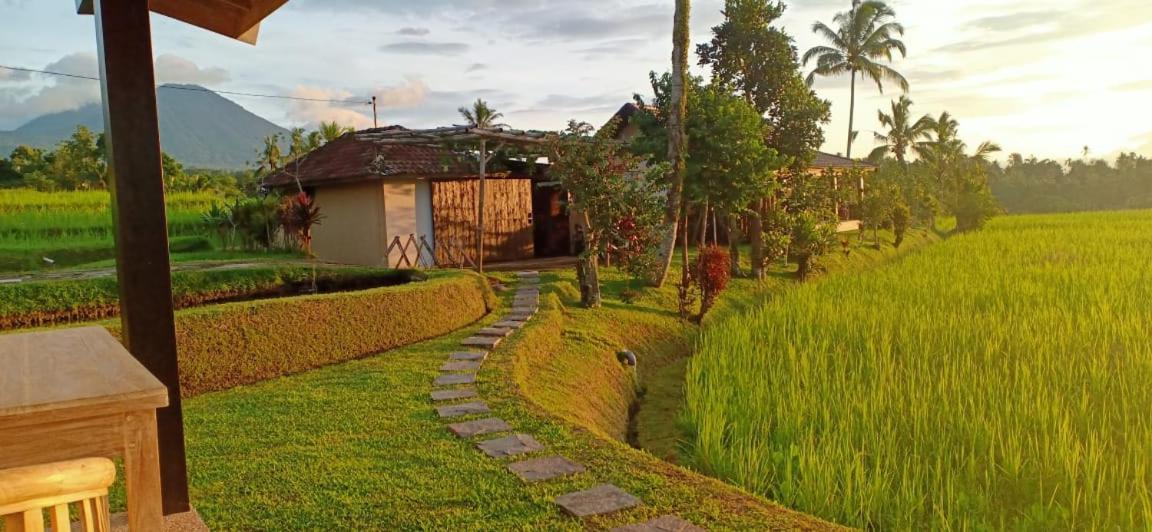Kubu D'Ume Homestay Jatiluwih Buitenkant foto