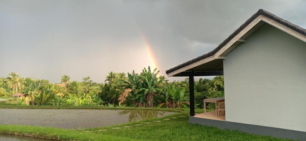 Kubu D'Ume Homestay Jatiluwih Buitenkant foto