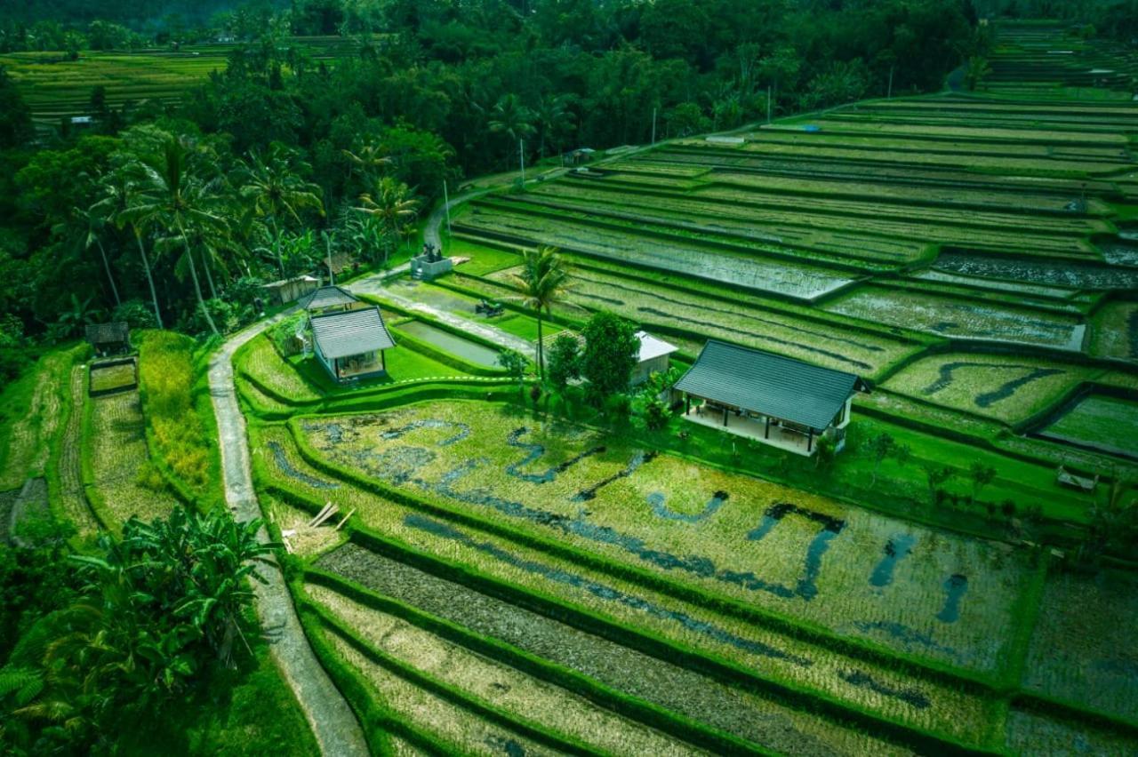 Kubu D'Ume Homestay Jatiluwih Buitenkant foto