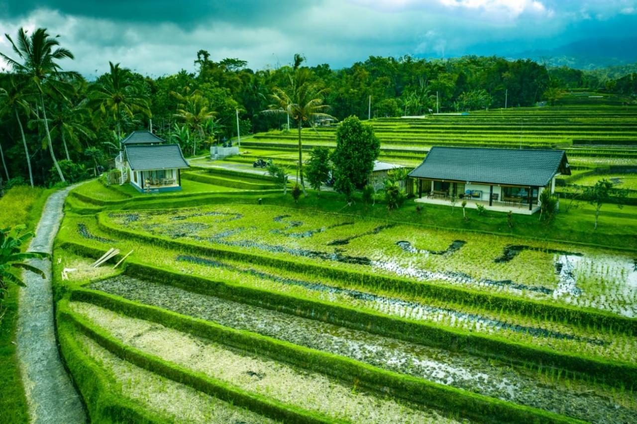 Kubu D'Ume Homestay Jatiluwih Buitenkant foto