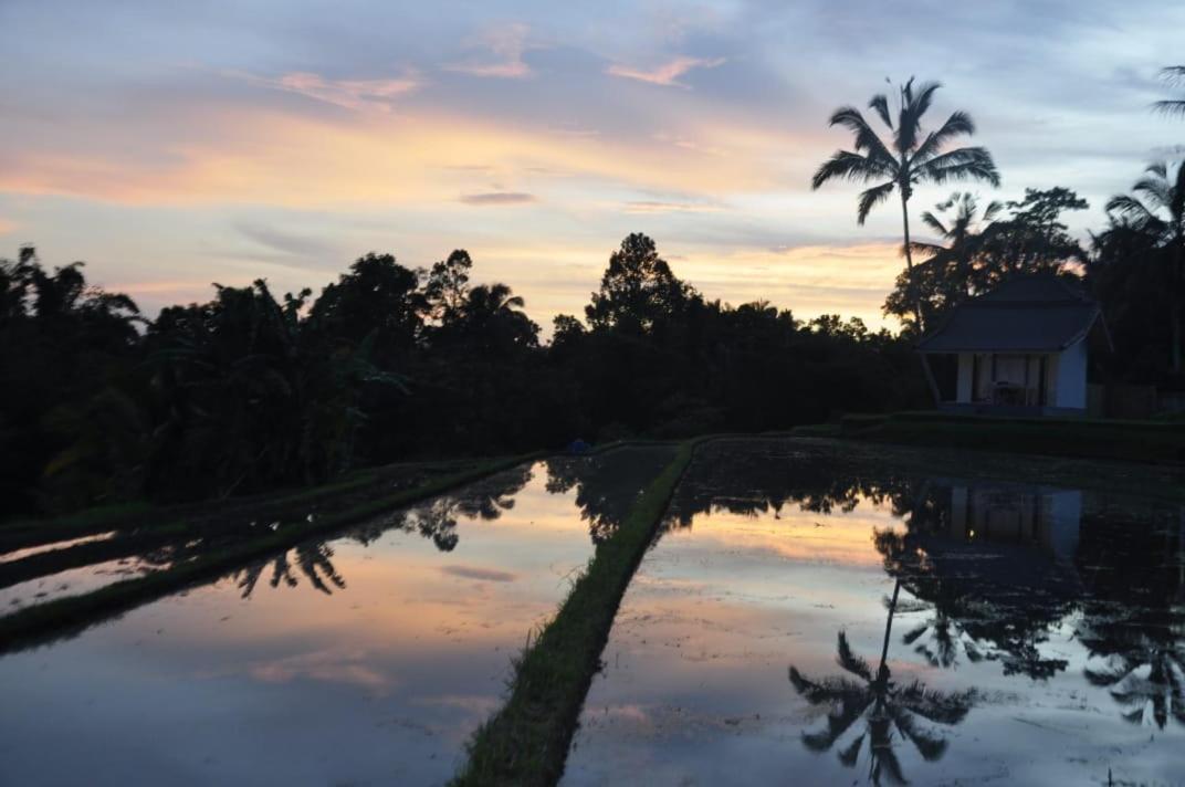 Kubu D'Ume Homestay Jatiluwih Buitenkant foto