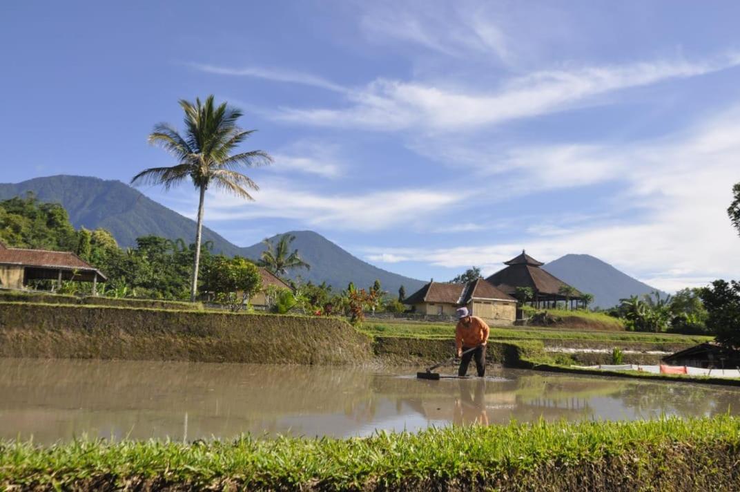 Kubu D'Ume Homestay Jatiluwih Buitenkant foto