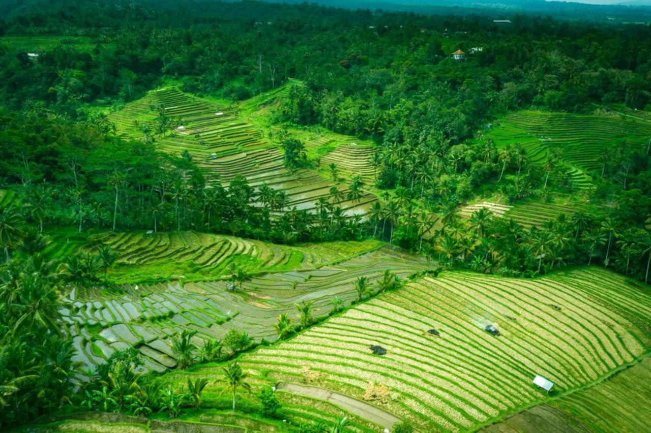 Kubu D'Ume Homestay Jatiluwih Buitenkant foto