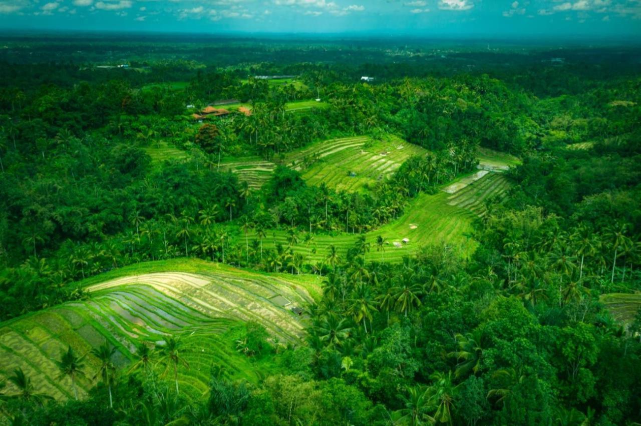 Kubu D'Ume Homestay Jatiluwih Buitenkant foto