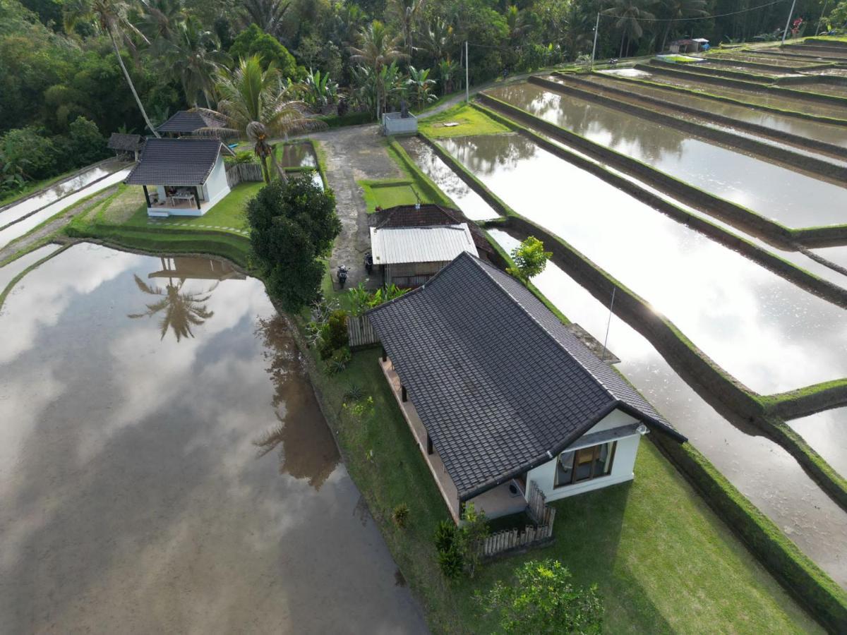 Kubu D'Ume Homestay Jatiluwih Buitenkant foto