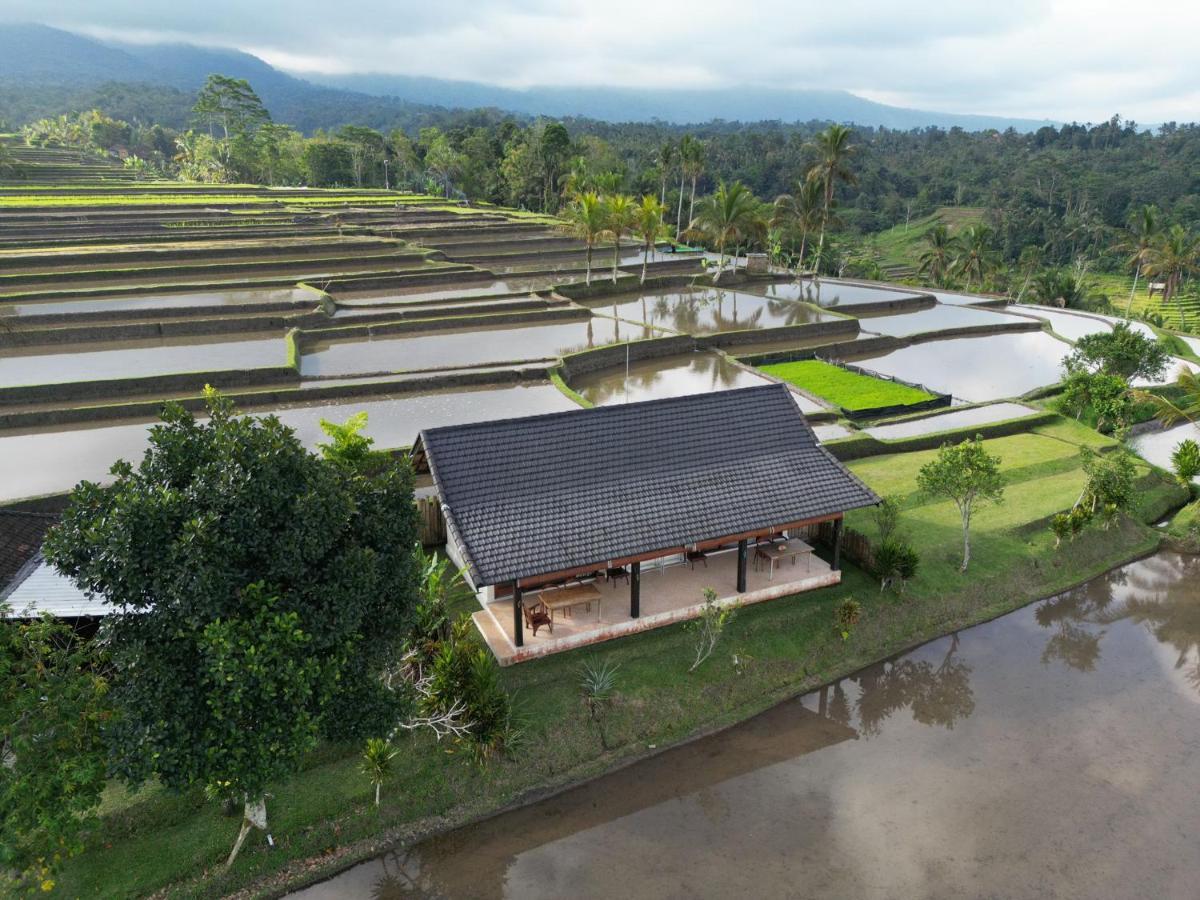 Kubu D'Ume Homestay Jatiluwih Buitenkant foto