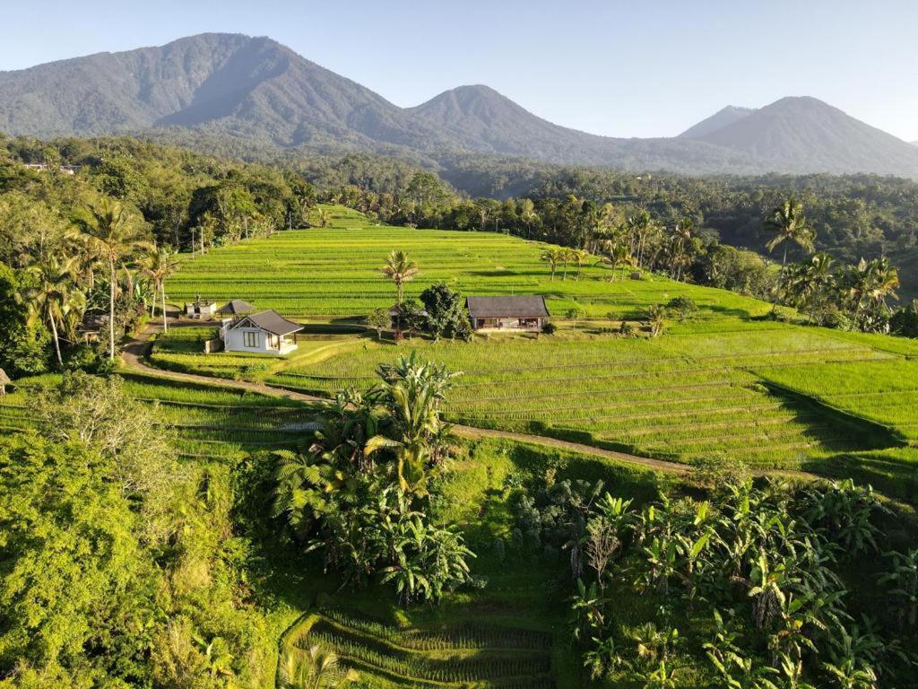 Kubu D'Ume Homestay Jatiluwih Buitenkant foto