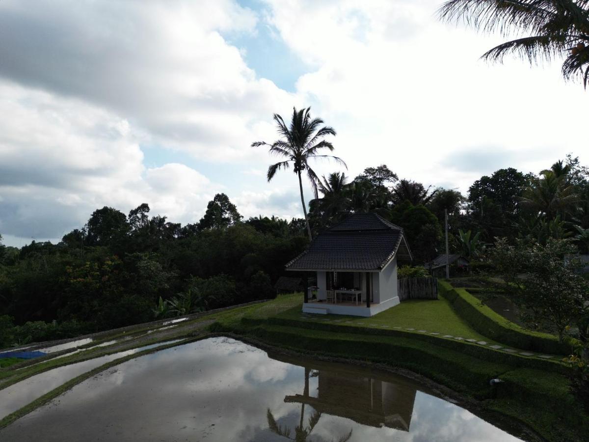 Kubu D'Ume Homestay Jatiluwih Buitenkant foto