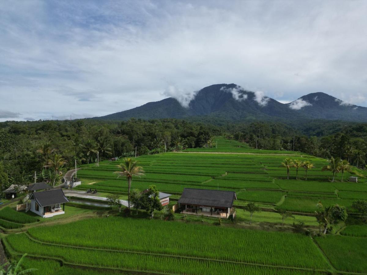 Kubu D'Ume Homestay Jatiluwih Buitenkant foto