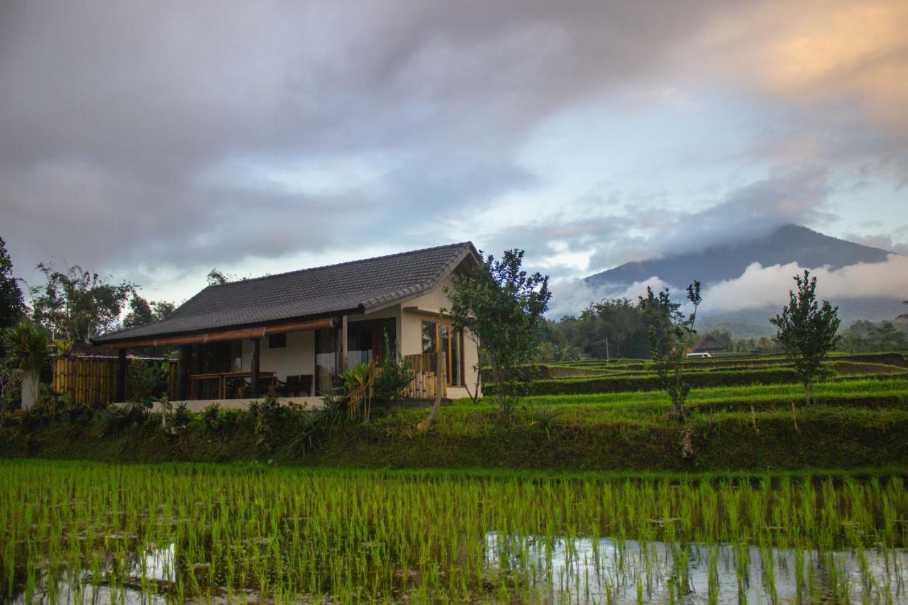 Kubu D'Ume Homestay Jatiluwih Buitenkant foto