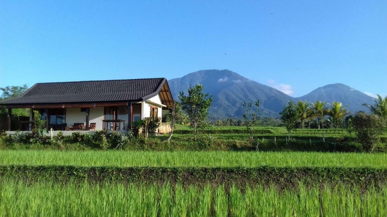 Kubu D'Ume Homestay Jatiluwih Buitenkant foto