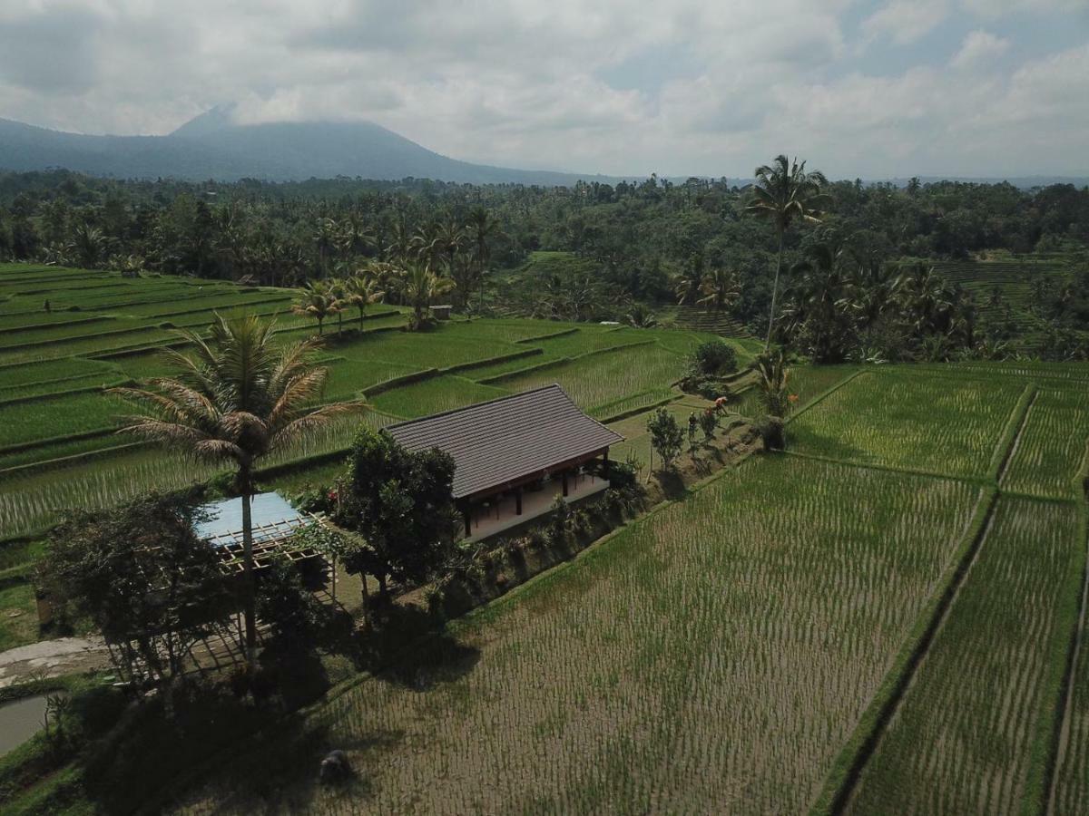 Kubu D'Ume Homestay Jatiluwih Buitenkant foto