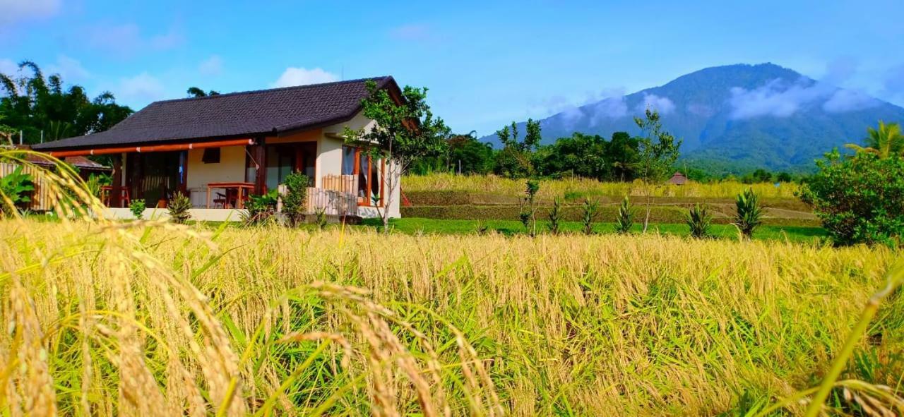 Kubu D'Ume Homestay Jatiluwih Buitenkant foto