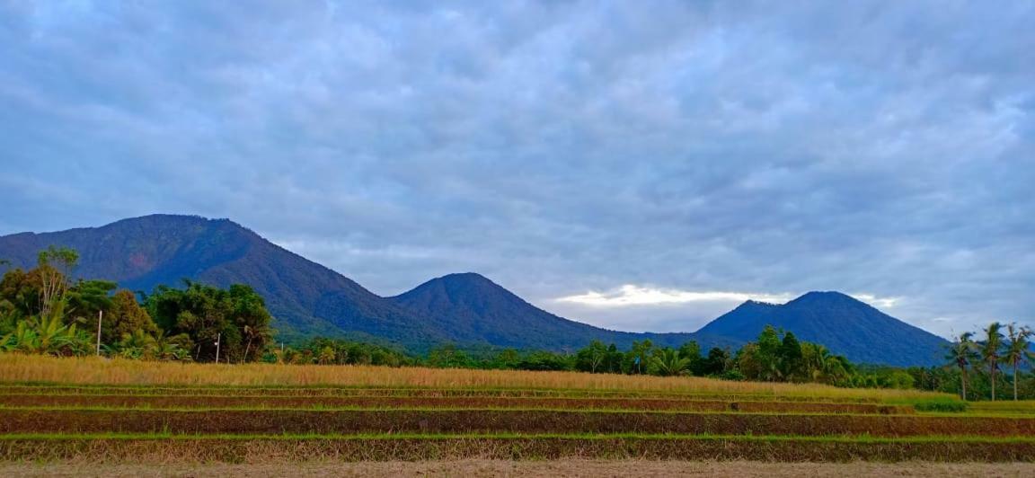 Kubu D'Ume Homestay Jatiluwih Buitenkant foto