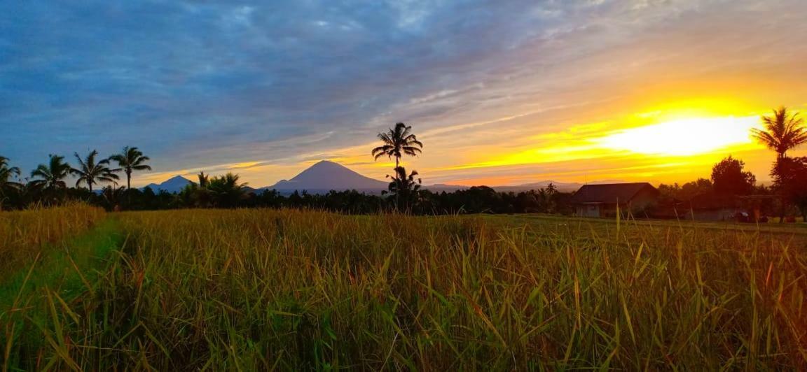 Kubu D'Ume Homestay Jatiluwih Buitenkant foto