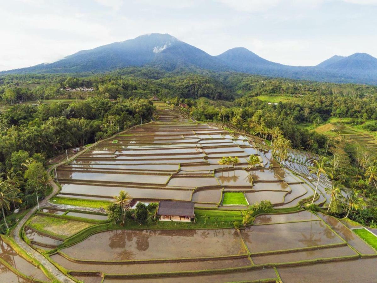 Kubu D'Ume Homestay Jatiluwih Buitenkant foto