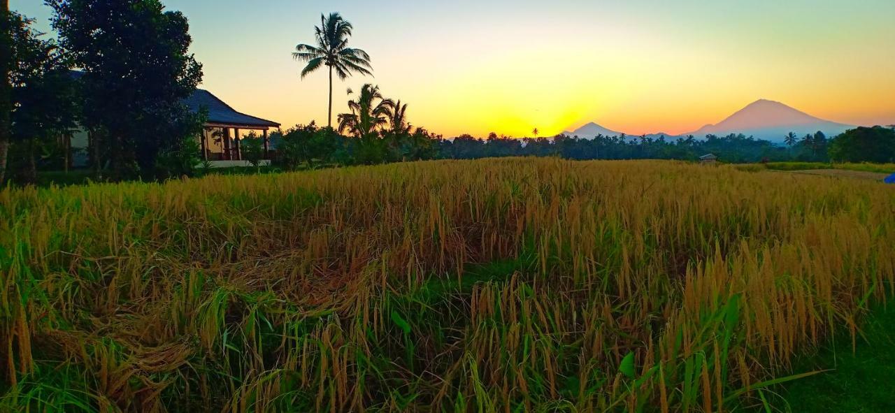 Kubu D'Ume Homestay Jatiluwih Buitenkant foto