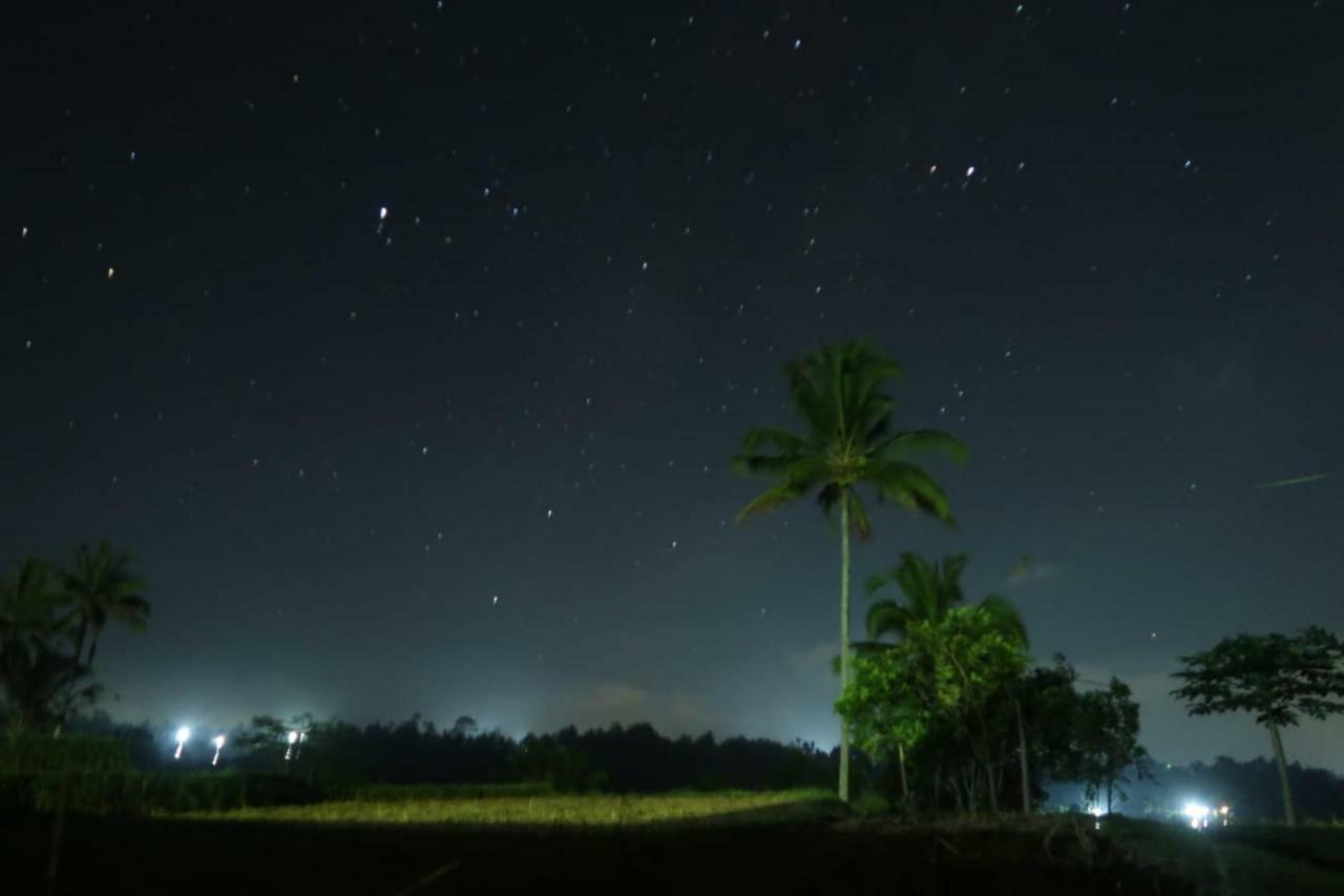 Kubu D'Ume Homestay Jatiluwih Buitenkant foto