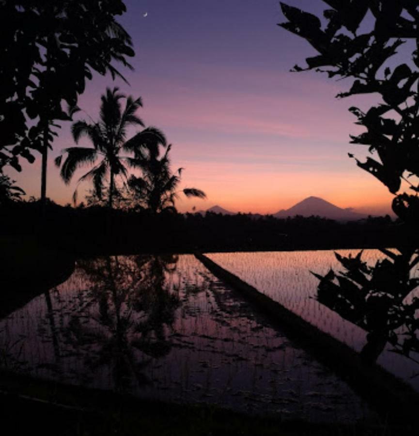 Kubu D'Ume Homestay Jatiluwih Buitenkant foto
