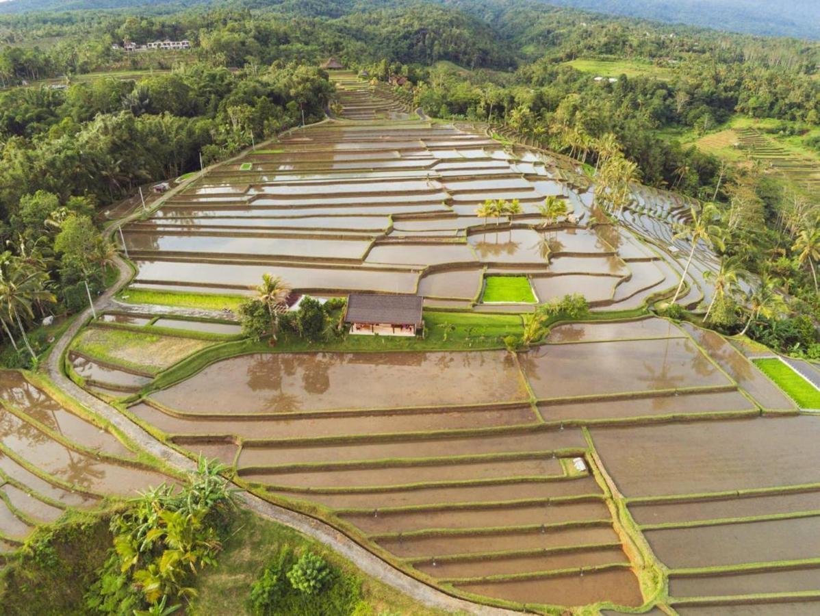 Kubu D'Ume Homestay Jatiluwih Buitenkant foto