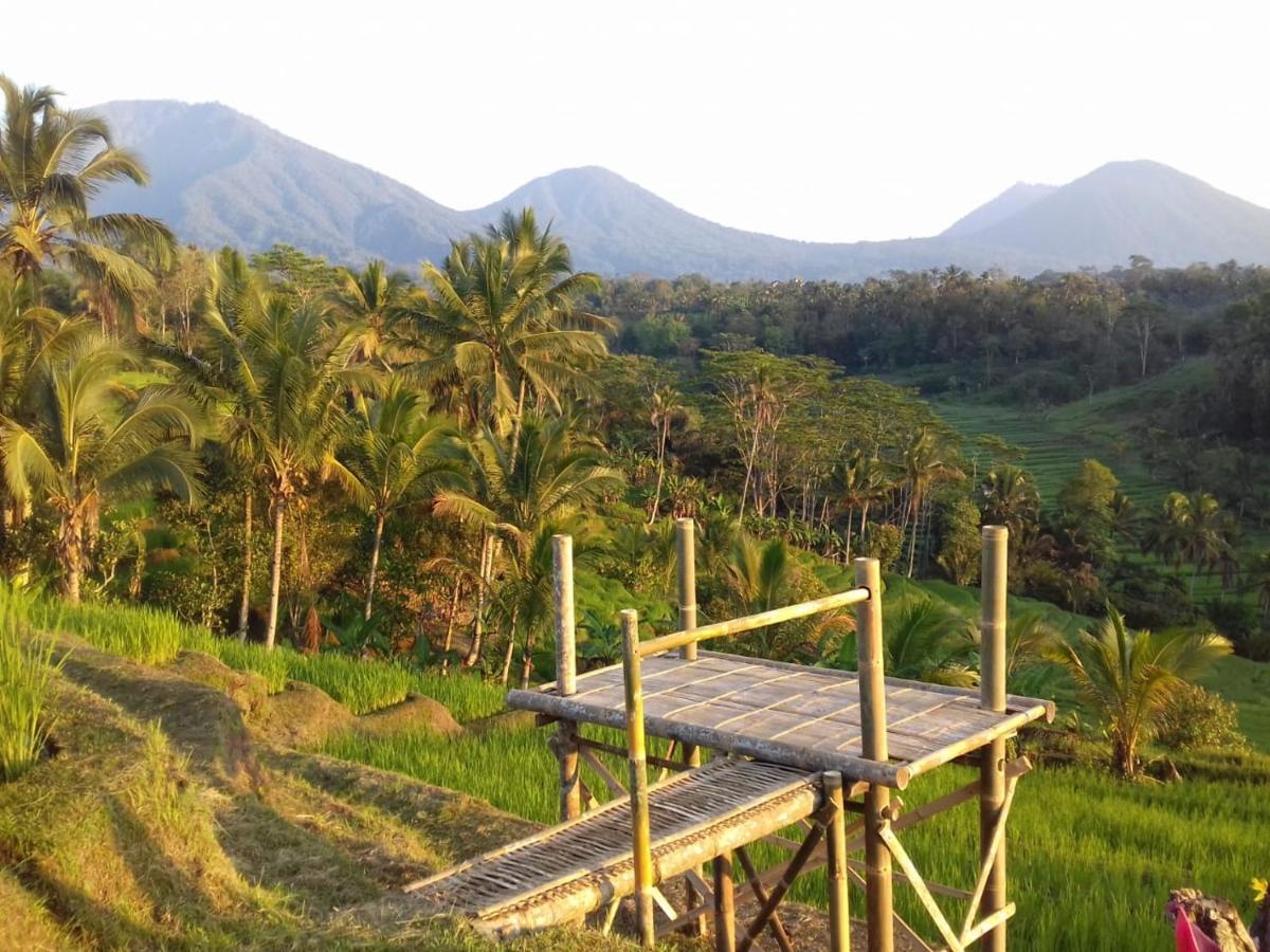 Kubu D'Ume Homestay Jatiluwih Buitenkant foto