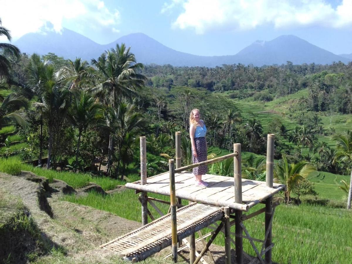 Kubu D'Ume Homestay Jatiluwih Buitenkant foto